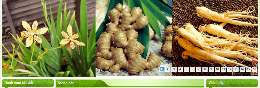 phòng khám đông y Sài Gòn