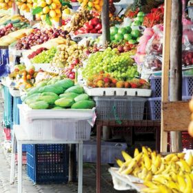 Lấy sỉ trái cây ở đâu giá tốt