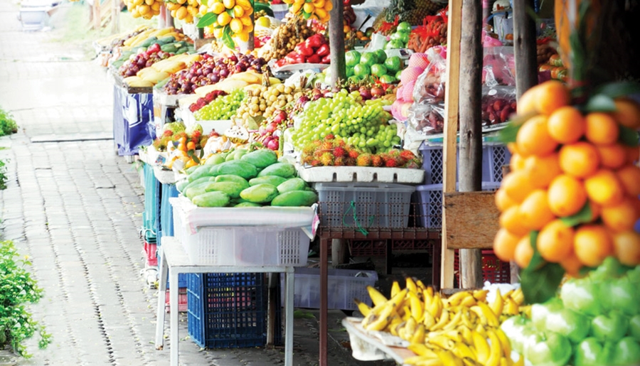 Lấy sỉ trái cây ở đâu giá tốt