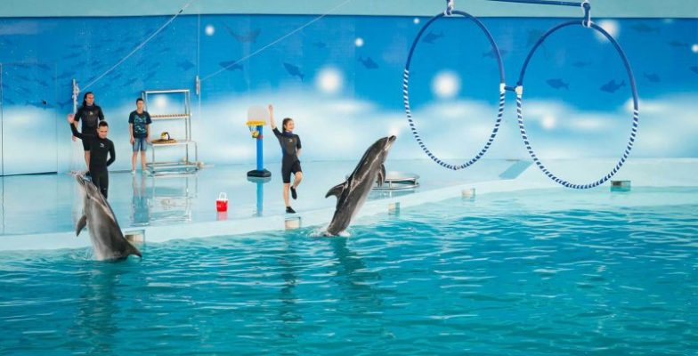 công viên vui chơi ở hà nội