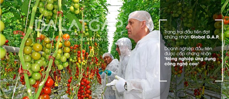 cửa hàng rau sạch ở sài gòn cửa hàng rau sạch ở sài gòn