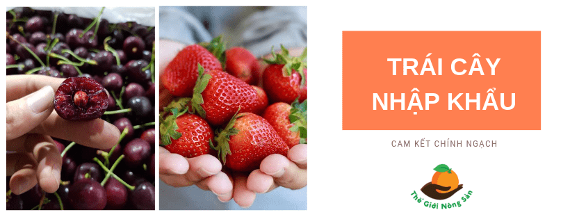 cửa hàng rau sạch ở sài gòn cửa hàng rau sạch ở sài gòn