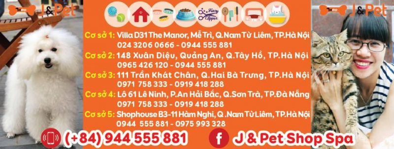 Cửa Hàng Thú Cưng Ở Hà Nội Cửa Hàng Thú Cưng Ở Hà Nội