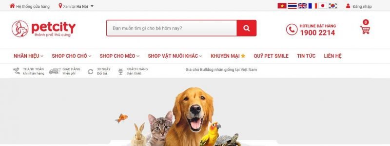 Cửa Hàng Thú Cưng Ở Hà Nội Cửa Hàng Thú Cưng Ở Hà Nội